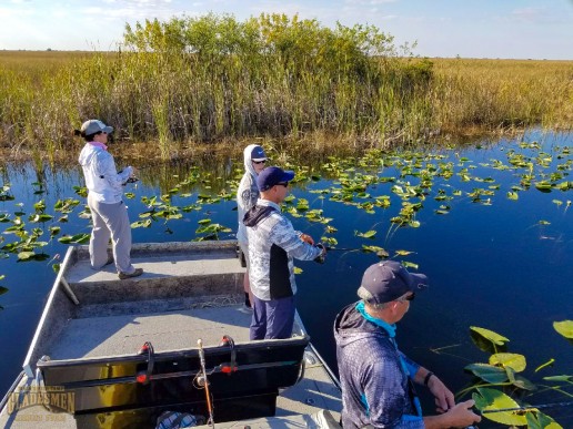 south florida airboat bass fishing, bass fishing, everglades fishing