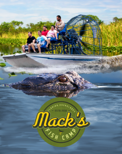 miami everglades airboat tour, miami, airboat, rides, gator