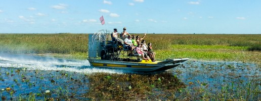 miami everglades airboat, miami airboat tours, airboat tours near me