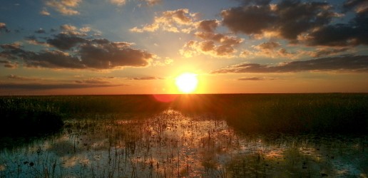 Airboat ride, Everglades sunset, Miami Eco tours