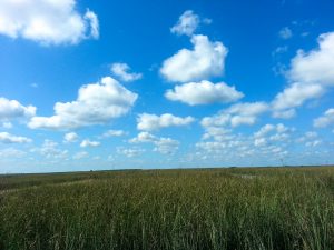 River-of-Grass, Florida-Everglades