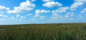 River-of-Grass, Florida-Everglades