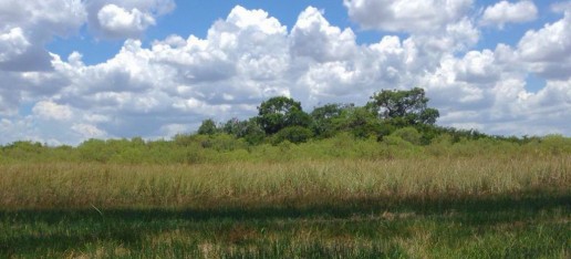 everglades-eco-tours-skunk-ape-miami-airboat-tours