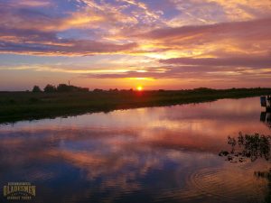 everglades, sunset, tour, sunrise, glades, sawgrass, river of grass