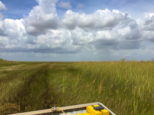 sawgrass, everglades national park, airboat rides