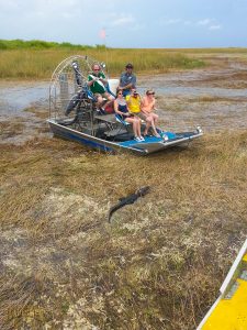 airboating, alligators, gators, sawgrass trails