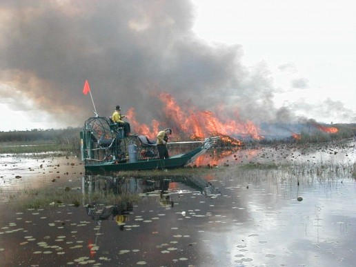 fire in the everglades, everglades ecology, miami airboat tours, everglades fire